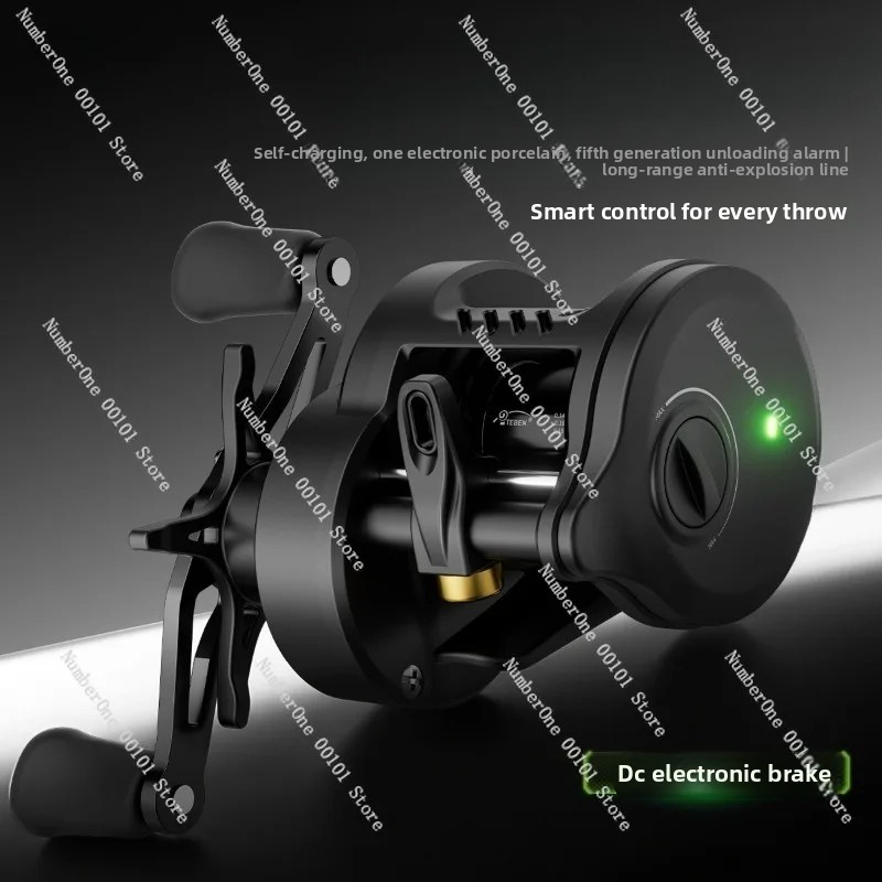 Electronic Magnetic Brake Fish - Baitcasting Reel ulasan dan harga